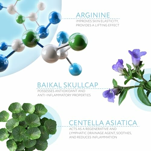 Ingredientes de cuidado de la piel con arginina, baicalina y centella asiática.